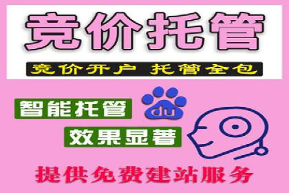 案例分析：百度推广成功案例解析